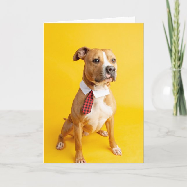 Cartão placa dentro Vazio (Frente)