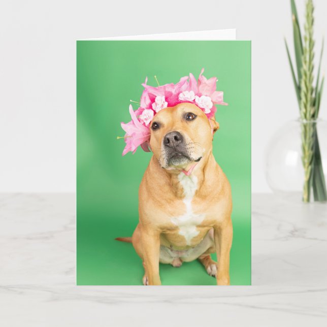 Cartão placa dentro Vazio (Frente)