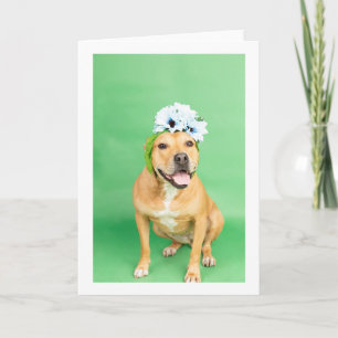 Cartão placa dentro Vazio