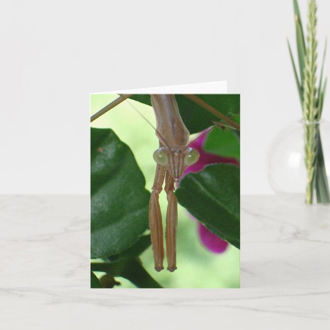 Cartão Placa do Exterminador (Frente)