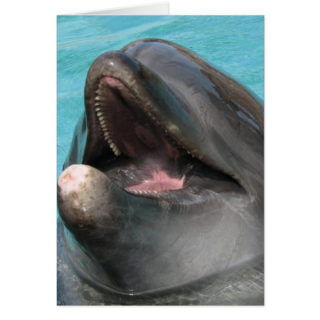 Cartão Placa do Flipper (Frente)