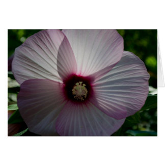 Cartão Placa do ventilador