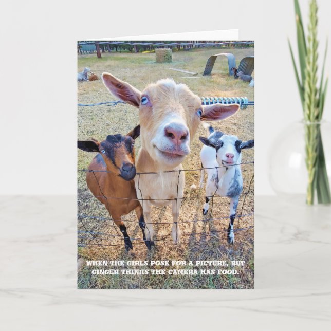 Cartão Placa dobrada de 5"x7" | Foco na comida (Frente)