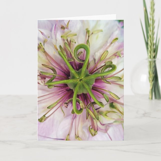 Cartão Placa dobrada de 5"x7"|| Love-In-A-Mist (Frente)