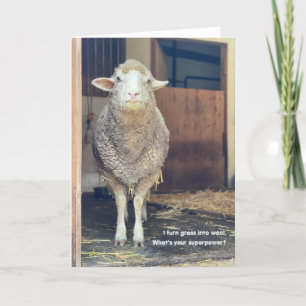 Cartão Placa dobrada de 5"x7" Marshmallow