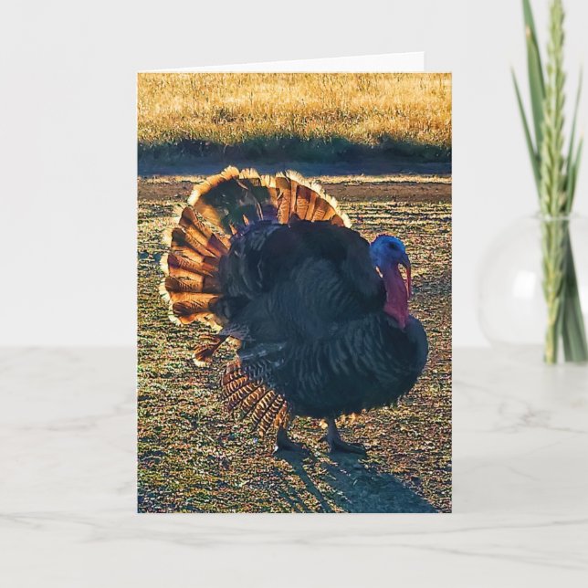 Cartão Placa dobrada de 5"x7" | Thomas a-Struttin" (Frente)
