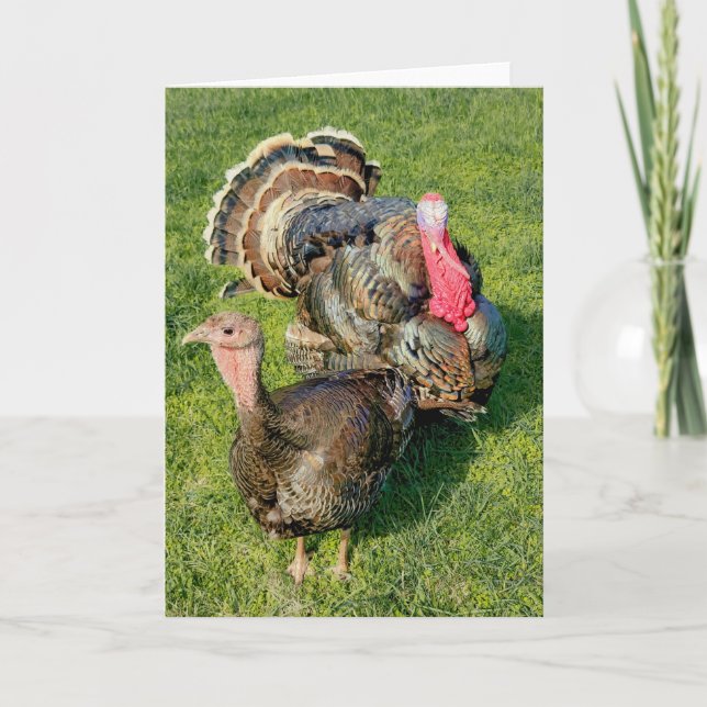 Cartão Placa dobrada de 5"x7" | Thomas & Henrietta (Frente)