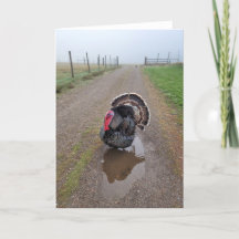 Placa dobrada de 5"x7" | Turquia no Nevoeiro