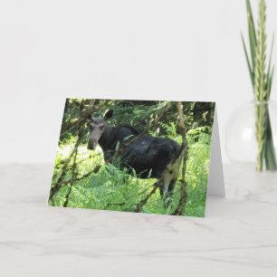Cartão Placa dobrada de 7"x5"   Almoço