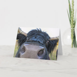 Cartão Placa dobrada de 7"x5"   Banana Peel Cow