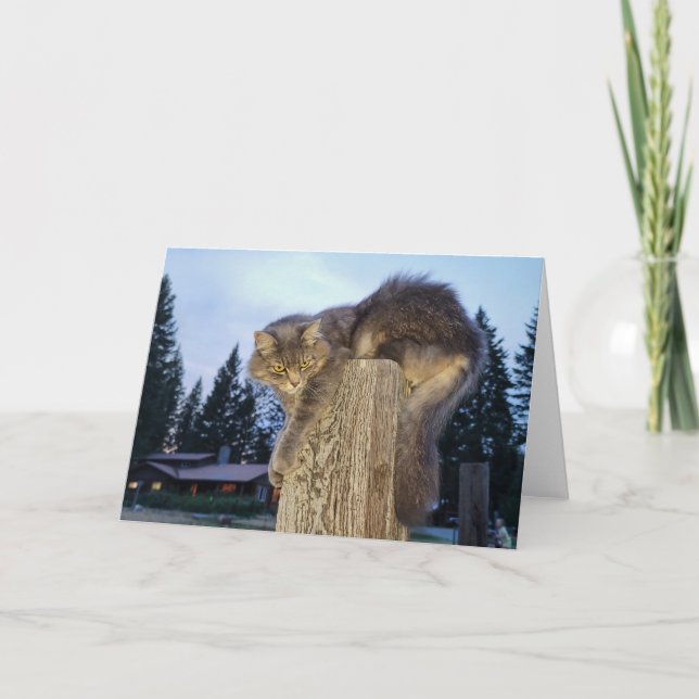 Cartão Placa dobrada de 7"x5" | Catletic Cat (Frente)