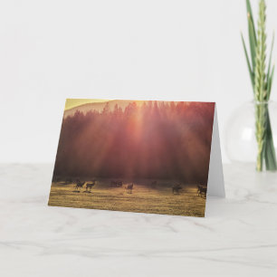 Cartão Placa dobrada de 7"x5"    Elk Red Dawn