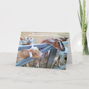 Cartão Placa dobrada de 7"x5" Hay! Onde está o meu?