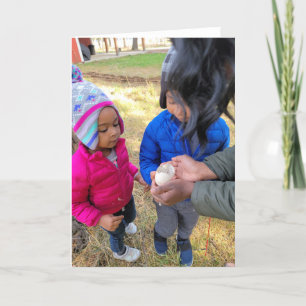 Cartão Placa dobrada de 7"x5"    Ovo de Ganso Selvagem