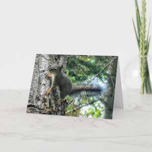 Cartão Placa dobrada de 7"x5"   Tree Squirrel Photo Paint