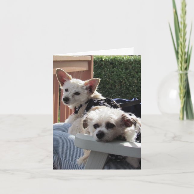 Cartão Placa - Dois amigos (Frente)