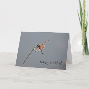 Cartão Placa Dragonfly Birthday