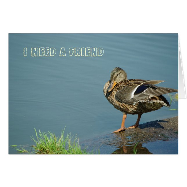 Cartão Placa Duck (Frente Horizontal)