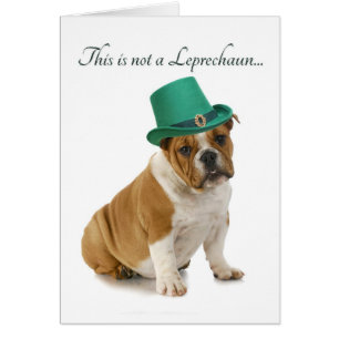 Cartão Placa Engraçada Bulldog Leprechaun
