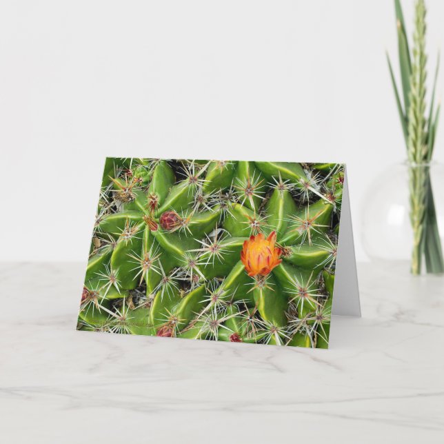 Cartão Placa Flor Cactus - Personalizar Saudação (Frente)