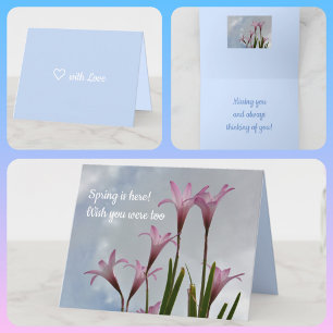 Cartão Placa Floral Flórida Pia-Rosa Pastel Lírios De C