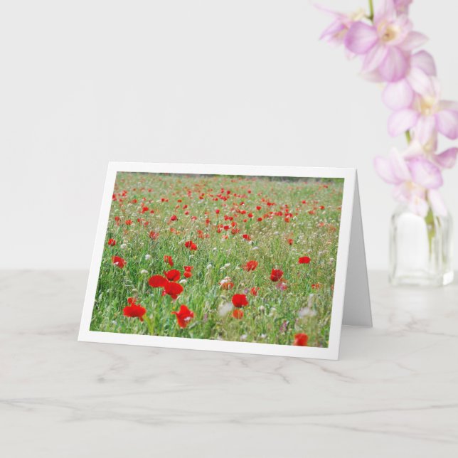 Cartão Placa Flores Vermelhas Poppy (Orquídea)