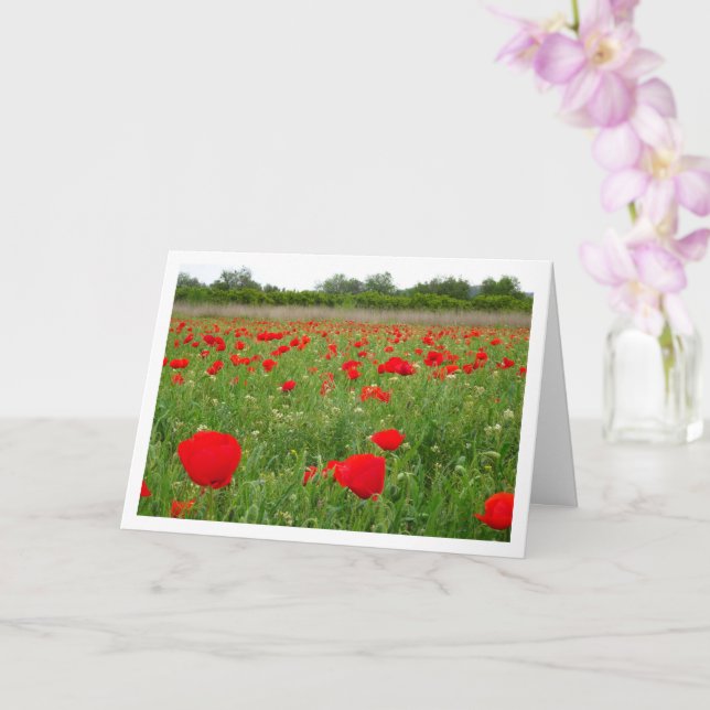 Cartão Placa Flores Vermelhas Poppy (Orquídea)