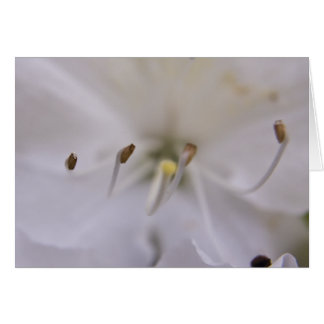 Cartão Placa flutuante