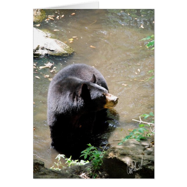 Cartão Placa frontal (Frente)