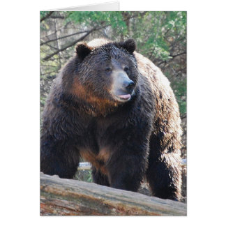 Cartão Placa frontal