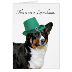 Cartão Placa Funny Corgi Leprechaun