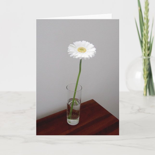 Cartão Placa Garbera 2 branca (Frente)