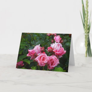 Cartão Placa Gene Boerner Rosa nº 1