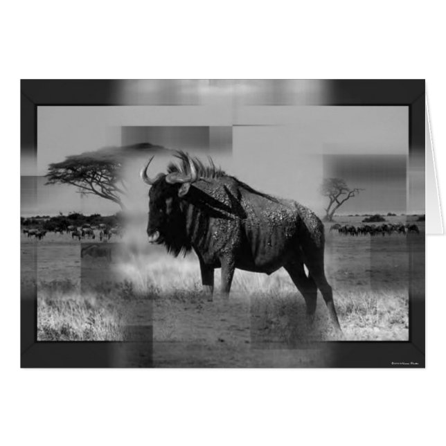 Cartão Placa Gnu (Frente Horizontal)