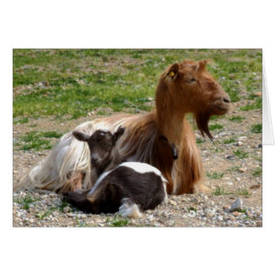 Cartão Placa Goats