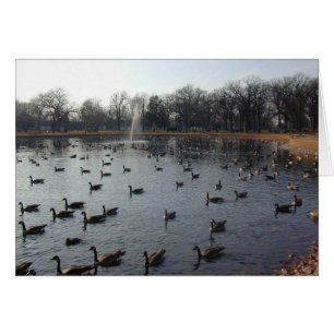 Cartão Placa Goose Wall 2