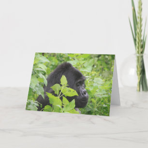 Cartão Placa Gorilla - Vazio no dentro