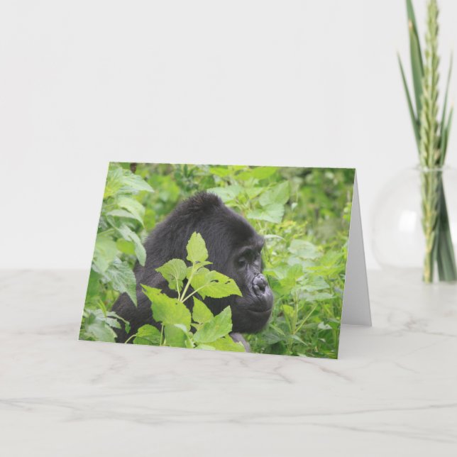 Cartão Placa Gorilla - Vazio no dentro (Frente)