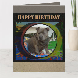 Cartão Placa grande | Staffordshire Bull Terrier Birthday