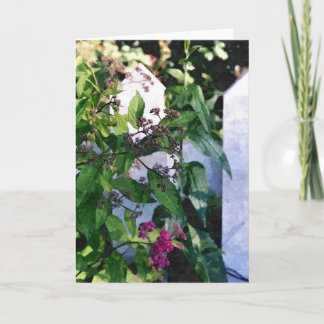 Cartão PLACA GREETING: Picket Fence_ Card Branca