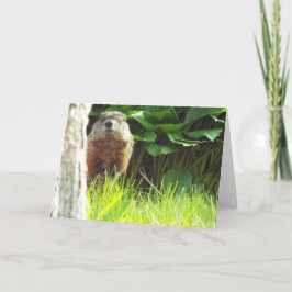 Cartão Placa Groundhog