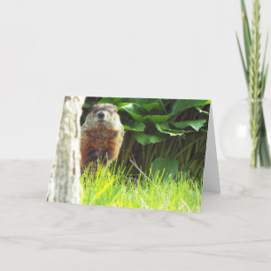Cartão Placa Groundhog