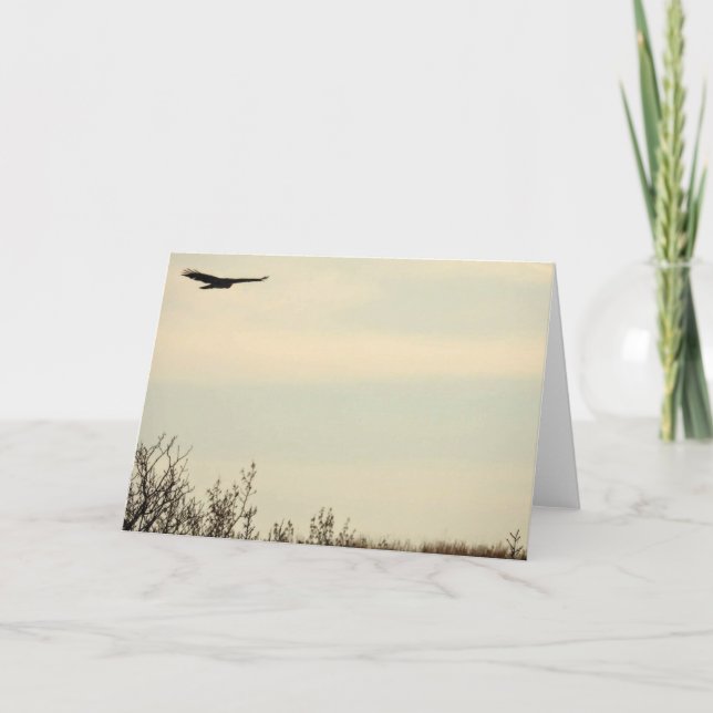 Cartão Placa Hawk Voando Alta Nota (Frente)