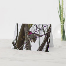 Cartão Placa Hummer Crow