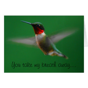 Cartão Placa Hummingbird