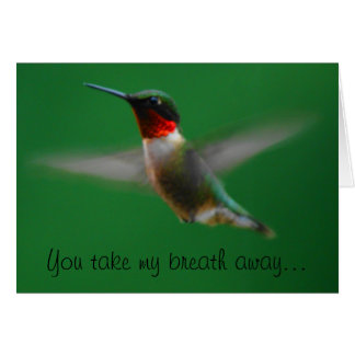 Cartão Placa Hummingbird