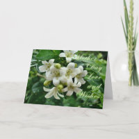 Placa Jasmine dia de as mães