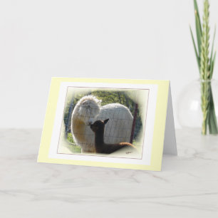 Cartão Placa Kisses Alpaca