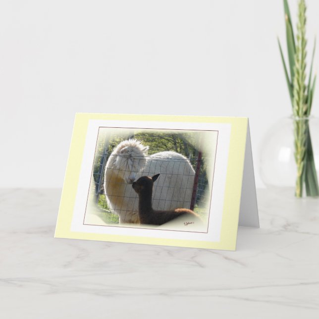 Cartão Placa Kisses Alpaca (Frente)