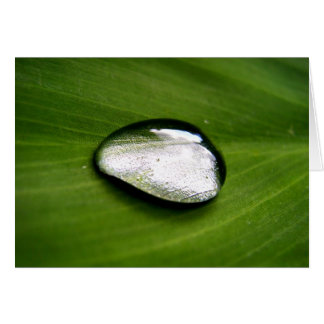 Cartão Placa Larga Zen Rain
